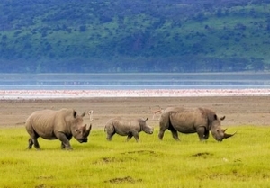 Lake Nakuru
