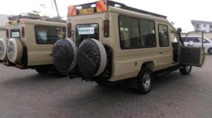4x4 Safari vehicle