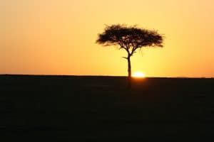 sundowner