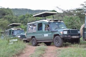 Safari