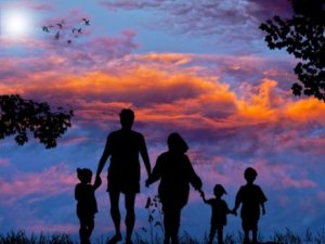 Kids friendly safari