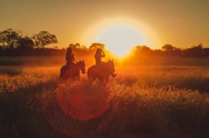 horse riding safari