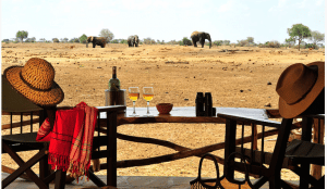 Satao camp