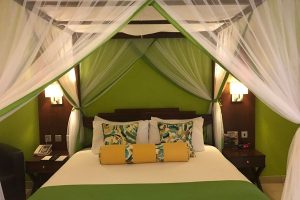 Sun Africa room