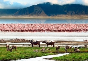 Lake Nakuru
