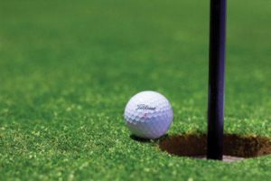 golf safari