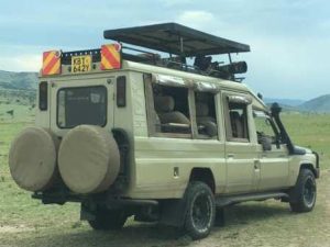 Safari vehicle
