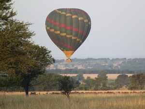 Balloon safari